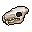 werebear skull