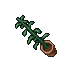 indoor plant
