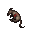 dead rat