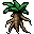 mandrake