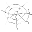 spider silk