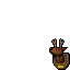 deer trophy