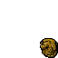 lion trophy