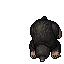 Mole