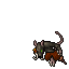 Pirat Cutthroat