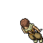 Nomad