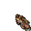 Nomad Female
