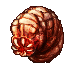 Brother Worm