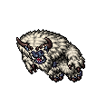 Kangmi