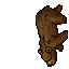 Old Bear