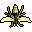 Old Wasp